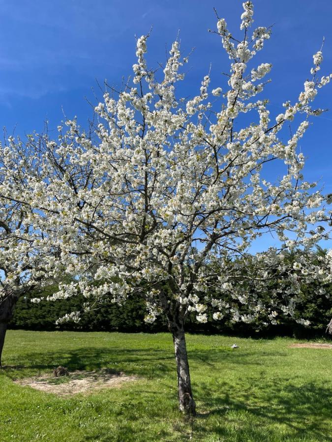 32 Parc Des Sports Chez Catherve Saint-Medard-de-Guizieres Buitenkant foto